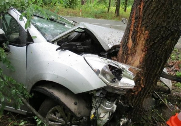 Řidič dostal se svým autem na mokré silnici smyk a skončil ve stromu
