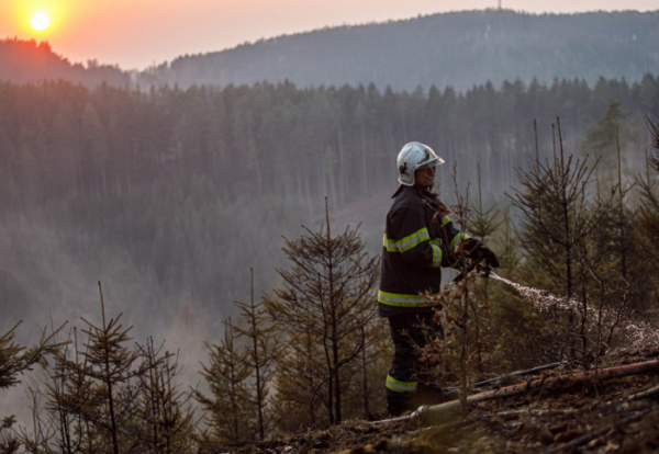 10 jednotek hasičů bylo nasazeno na likvidaci požáru lesa na Náchodsku